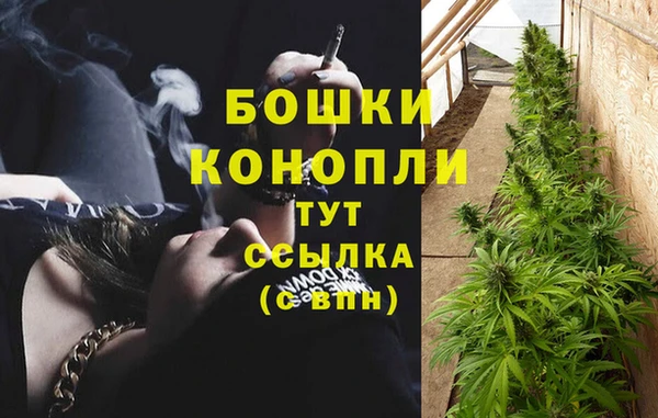 гидропоника Карпинск