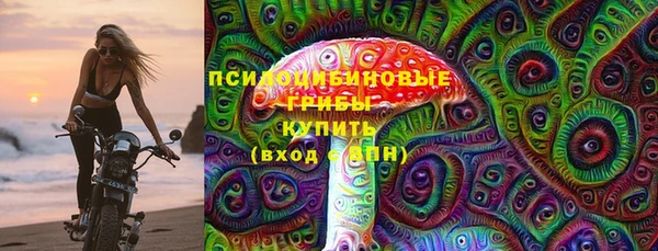 ALPHA PVP Каменка