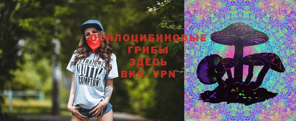 молекула духа Касимов